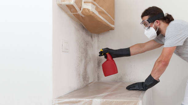 Professional Attic Mold Remediation technician working in Knightdale, NC