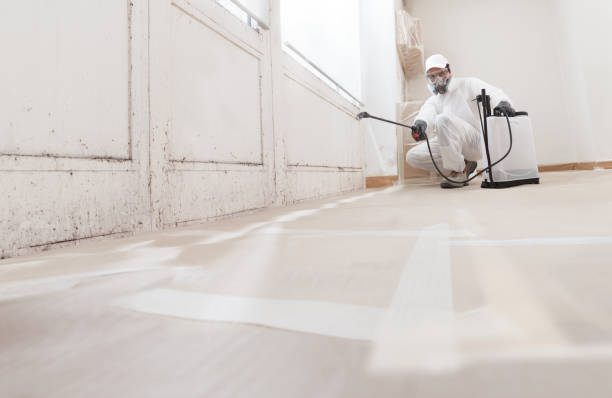 24/7 Emergency Attic Mold Remediation experts in Knightdale, NC