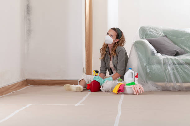 Reliable Attic Mold Remediation contractor in Knightdale, NC by Car Mold Remediation